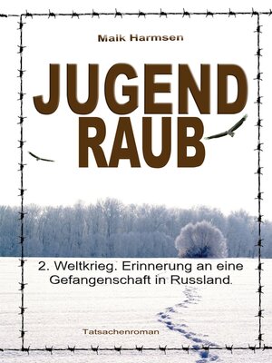 cover image of Jugendraub